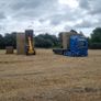 Straw , barley & weaten Image 7