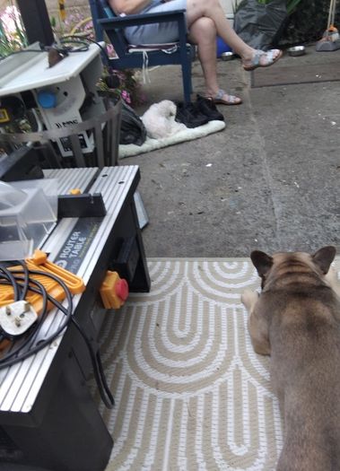 Table Saw