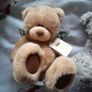 "Me to you" and "original brown bear" bears Image 2