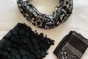 Scarf Bundle (3)