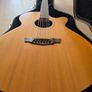 Cort SFX-1F Semi Acoustic Guitar Image 2