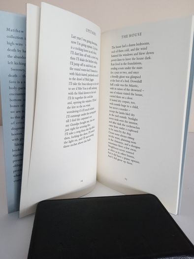 The Bridal Suite by Matthew Sweeney (RB34)
