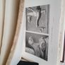 Modern Painters: Volume III. Containing Part IV. of Many Things by John Ruskin (RB422) Image 5