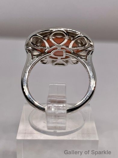 Queen Conch Shell Ring and  Stud Push Post Earring in Rhodium Overlay Sterling Silver