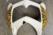 Kawasaki Panel ex250 repainted