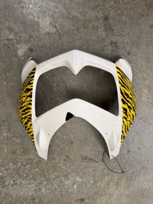 Kawasaki Panel ex250 repainted