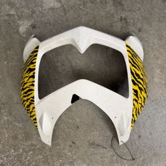 Kawasaki Panel ex250 repainted