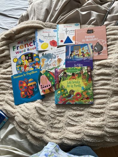 Large selection of French language children's books