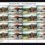 2016 Ireland Wild Atlantic Way Commemorative Stamp Sheetlet Plate 1A1A1A1A Mint Never Hinged (MNH) Image 3