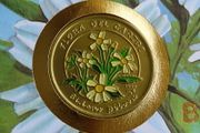 Cuba Coin stamp cover Bidens Pilosa herb flower 1997