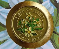 Cuba Coin stamp cover Bidens Pilosa herb flower 1997