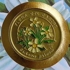 Cuba Coin stamp cover Bidens Pilosa herb flower 1997