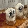 Miniature Captured Spirits in Glass Domes Image 6