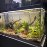 105L fish tank open to offers Image 2