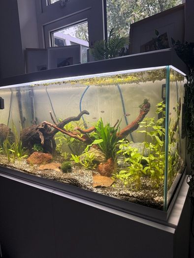 105L fish tank open to offers