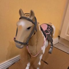 Horse our Generation