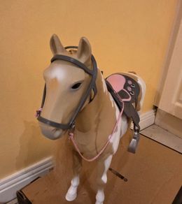 Horse our Generation