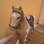 Horse our Generation Image 8