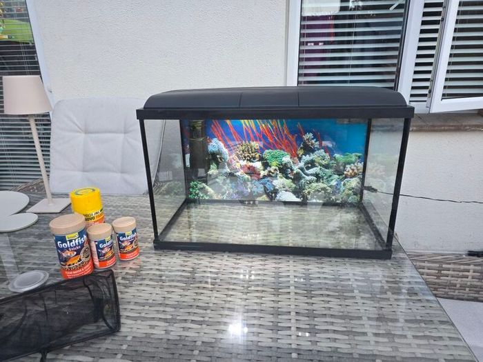 45l Fish Tank