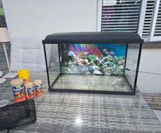 45l Fish Tank