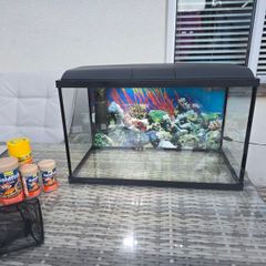 45l Fish Tank