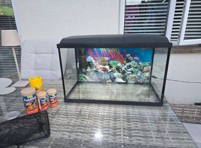 45l Fish Tank