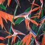 Karen Millen Black Orange Bird of Paradise Floral Halter Neck Fit and Flare Dress 14UK/42EU Image 2