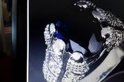 Man's Ring