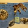 My First Picture Encyclopedia Hardback book Image 7