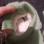 baby yoda soft slippers Image 4