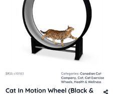 Canadian Cat Company Cat Wheel As New