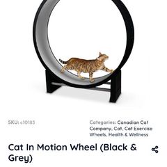 Canadian Cat Company Cat Wheel As New