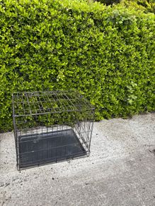 dog cage