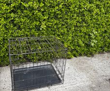 dog cage