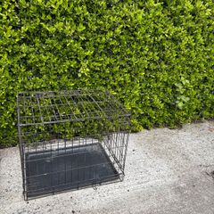 dog cage