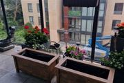 2 wooden planters 78cm x34cm H 38cm