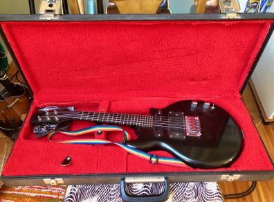 5 String Electric Mandolin/Mandola
