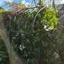 garden furniture Image 6