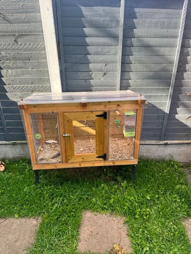 Bird cage