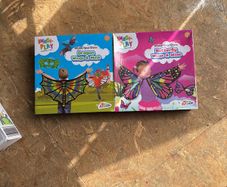 Dragon and butterfly DIY set