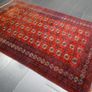 Afghan Jomut Rug 2.50 x 1.55m (AFG) Image 10