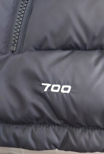 Men's North Face XXL Puffer 700