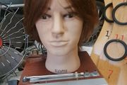 Male Bust