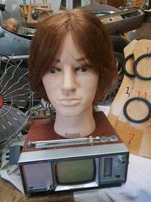 Male Bust