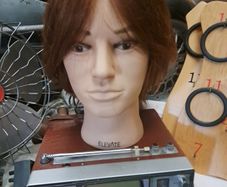 Male Bust