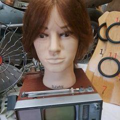 Male Bust