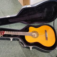 2017 Valenica Electro Nylon Model CG178CE