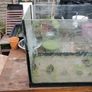 Aquarium Image 3
