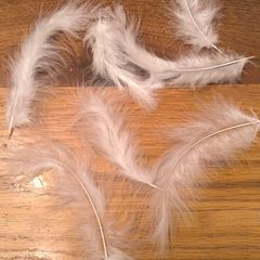 white feathers