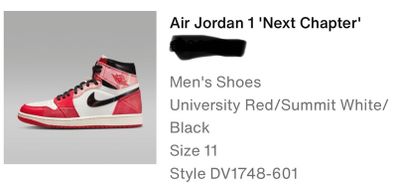 Air Jordan 1 "Next Chapter"